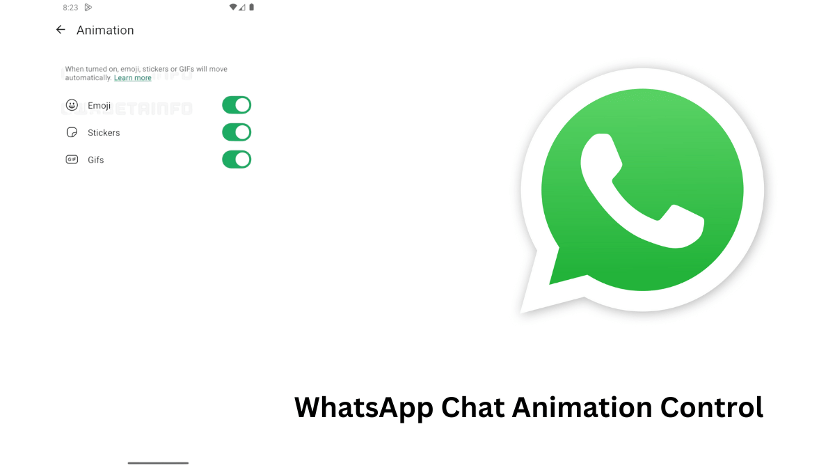 WhatsApp Chat Animation Control Feature